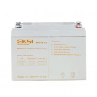 EKSI爱克赛（EKSI） 12V系列铅酸免维护蓄电池 EK024-12(12V24AH)