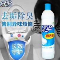 绿伞 洁厕灵500g