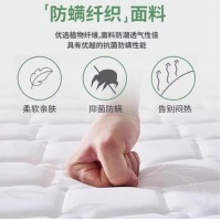 撑腰护脊款天然椰棕 床垫约10cm厚1m*2m偏硬
