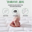 撑腰护脊款天然椰棕 床垫约10cm厚1m*2m偏硬