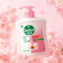 滴露（Dettol）健康抑菌洗手液滋润倍护500g