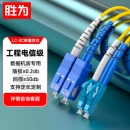 胜为终端连接光纤线单模双芯SC-LC10M