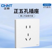 正泰（CHNT）开关插座面板86暗装家用五孔插座墙壁电源开关厨房网络6TS云月白 五孔插座