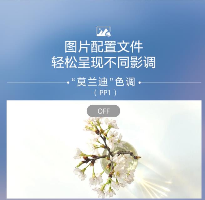 新.jpg