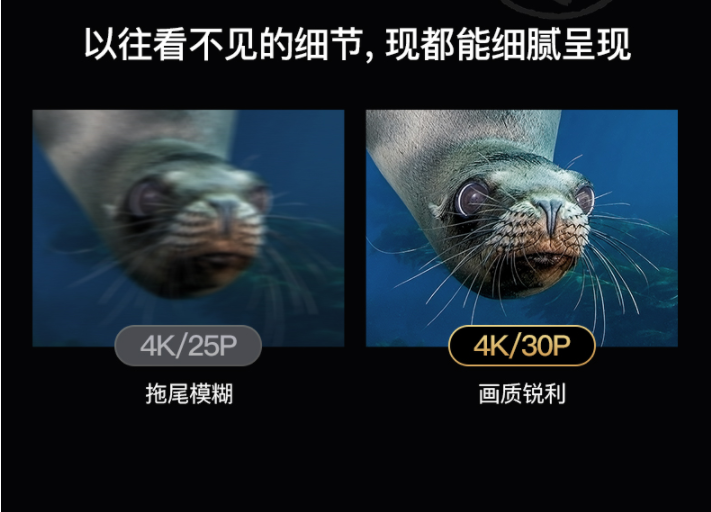 13.png