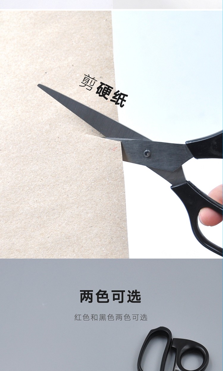 502adaa669bf1f97.jpg