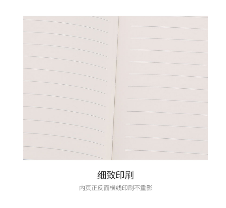6.png