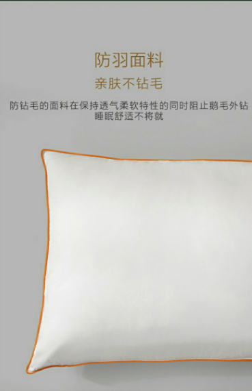 8.png