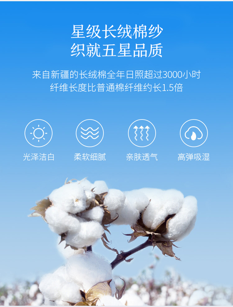 详情-02.jpg