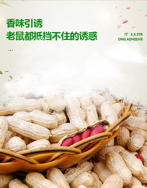 微信截图_20230731103154.png