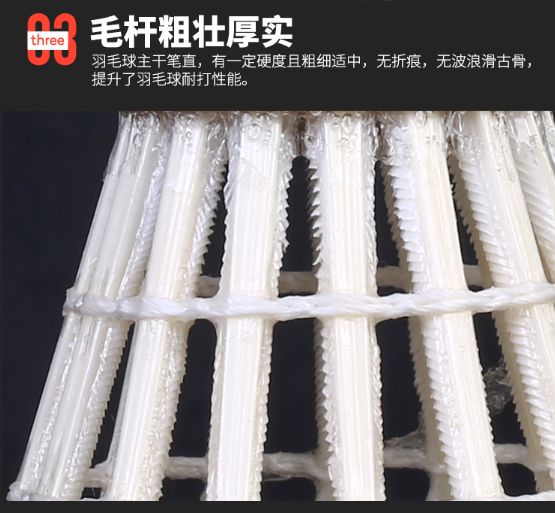 微信截图_20230920154448.png