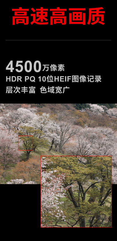 微信截图_20231012171614.png