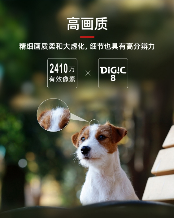 微信截图_20240415140008.png