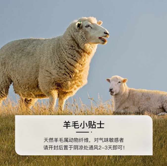 微信截图_20240624144844.png