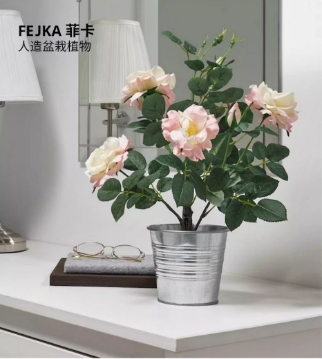 微信截图_20240906110923.png