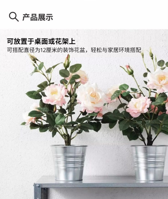微信截图_20240906110931.png