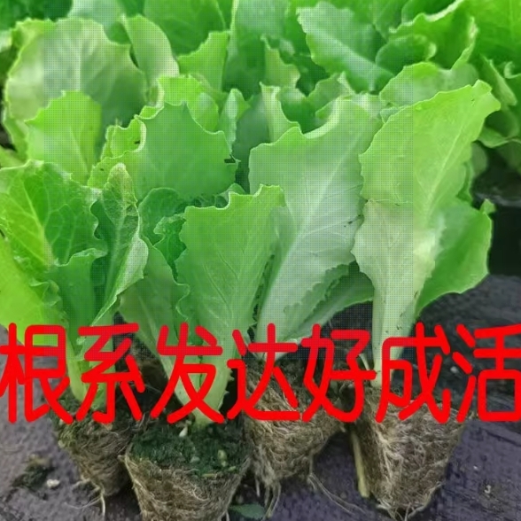 微信截图_20250425155609.png
